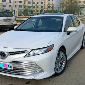 Toyota Camry 2018