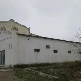 Taýyar zdanya Haraz