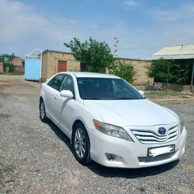 Toyota Camry 2009