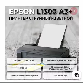 Цветной Принтео Epson L1300