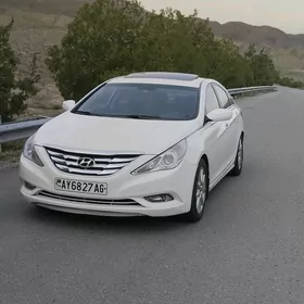 Hyundai Sonata 2010