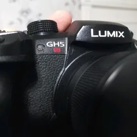 Lumix gh5s