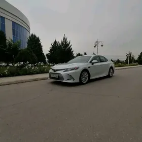 Toyota Camry 2019