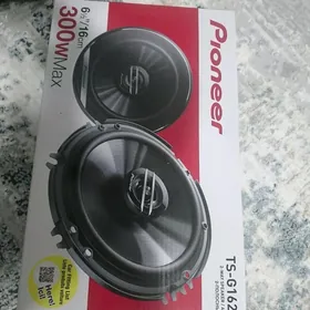 Pioneer kolonka