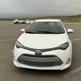 Toyota Corolla 2019