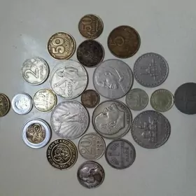 монеты