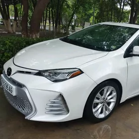 Toyota Corolla 2019