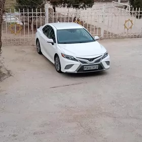 Toyota Camry 2019