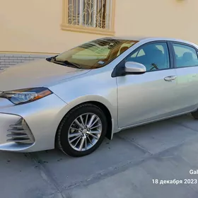 Toyota Corolla 2019