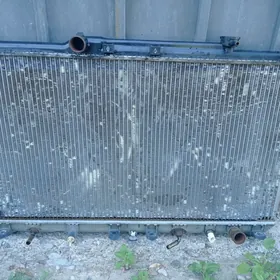 Radiator lisicka