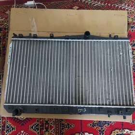 Daywa Radiator