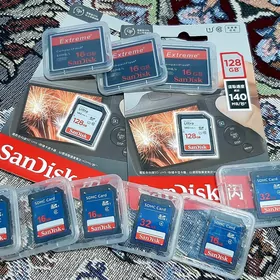 Sandick Compact flash card