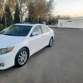 Toyota Camry 2010