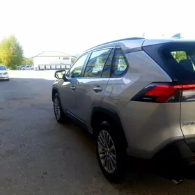 Toyota RAV4 2019