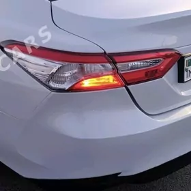 camry 2019  stopnik