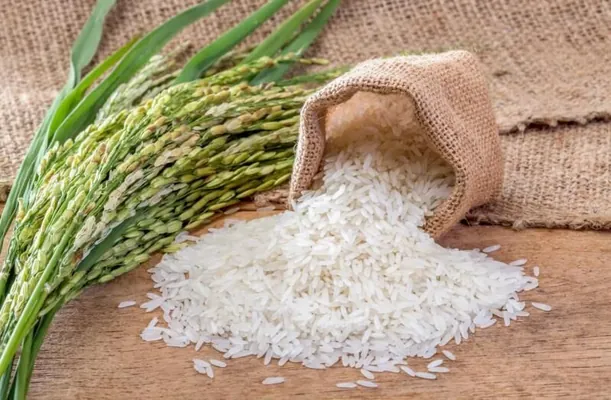 В Туркменистане повышена государственная закупочная цена на рис