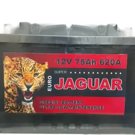 Jaguar 75Ah ⚡ (7/24)