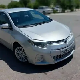 Toyota Corolla 2014