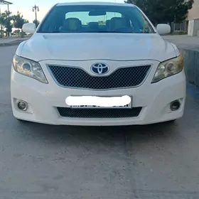 Toyota Camry 2010