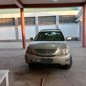 Lexus RX 330 2004