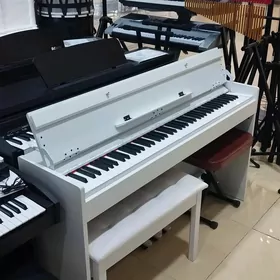 Elektronny pianina