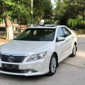 Toyota Aurion 2013