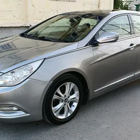 Hyundai Sonata 2011