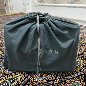 Tergan