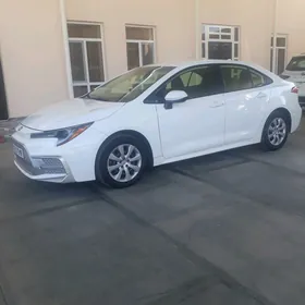 Toyota Corolla 2019