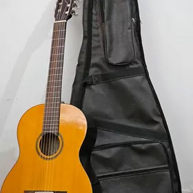 Eko. Gitara