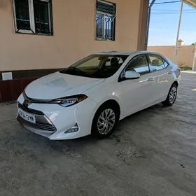 Toyota Corolla 2019