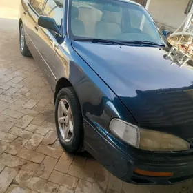 Toyota Camry 1995