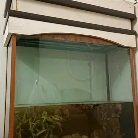 аквариум с аксессуарами