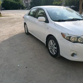 Toyota Corolla 2009