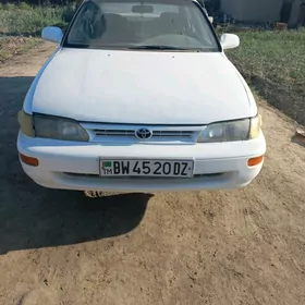 Toyota Corolla 1995