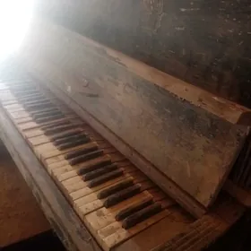 Pianinanyn пианино