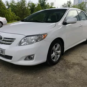 Toyota Corolla 2010