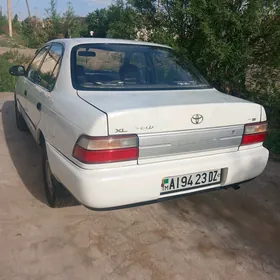 Toyota Corolla 1996