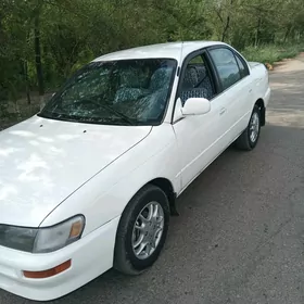 Toyota Corolla 1993