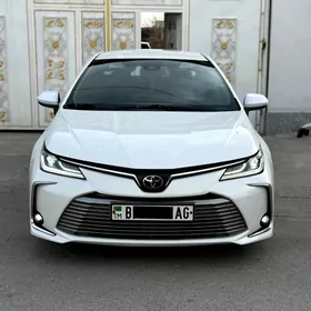 Toyota Corolla 2019