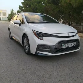 Toyota Corolla 2019