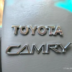 camry yazgy