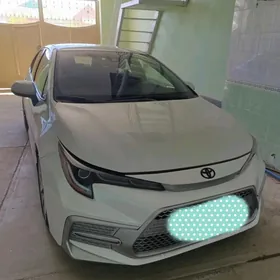 Toyota Corolla 2020