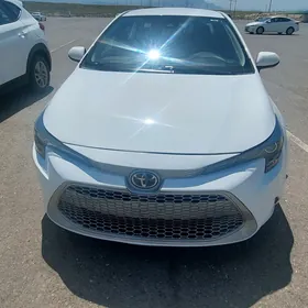 Toyota Corolla 2020