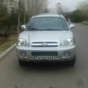 Hyundai Santa Fe 2004