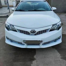 Toyota Camry 2013