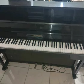 elektro pianino kalumbia