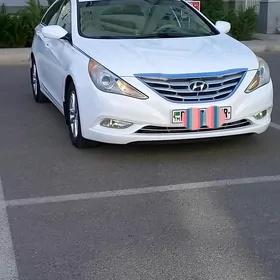 Hyundai Sonata 2010