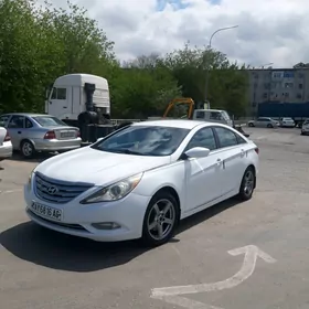 Hyundai Sonata 2010