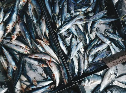 Японские ученые выяснили, какие рыбы продлевают жизнь